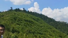 v_115721123_m_601_220_124.jpg