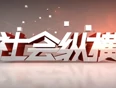 社会纵横}