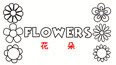 认识简画6种花朵