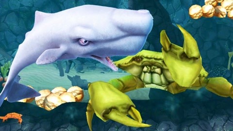 【面面】饥饿鲨进化!大白鲨饿晕了咬起了螃蟹