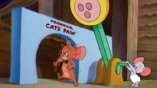 猫和老鼠 第51集 小学生杰瑞