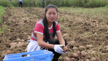 [图]这首《烟雨濛濛》太虐心了，听完心里真不是滋味