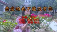 亲爱的我不能没有你简谱_亲爱的我想对你说简谱(3)