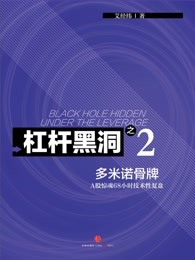 杠杆黑洞2——A股惊魂68小时技术性复