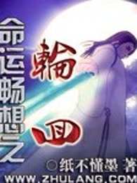 命运畅想之轮回