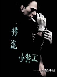 神盗小特工