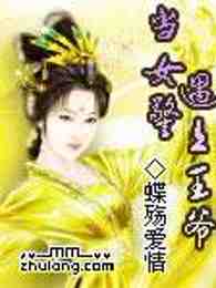 当女警遇上王爷