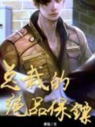 总裁的绝品保镖