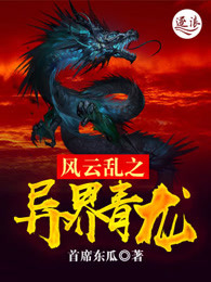 风云乱之异界青龙