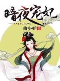 暗夜宠妃