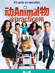 动物诊所第1季