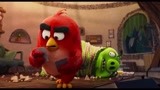即将上映《愤怒的小鸟2》3D电影