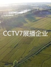 CCTV7展播企业