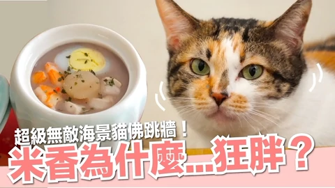 好味小姐lady Flavor 生活 高清正版视频在线观看 爱奇艺