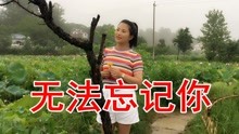 无法忘记你的歌曲的曲谱_无法忘记你杨美华图片(3)