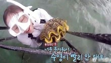 线上看 韩国女演员李烈音泰国捕食巨型蛤蜊 或将被判刑5年 (2019) 带字幕 中文配音