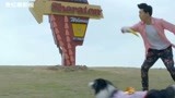 《神犬小七第2季》宠物乐园园长教你怎样才能训练出聪明的狗狗!