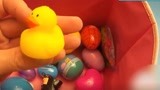 奇趣蛋 小黄鸭橡胶玩具 小美人鱼 愤怒的小鸟