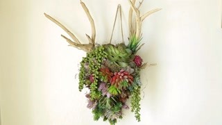 DIY墙上装饰假植物