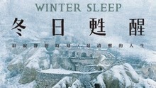 線上看 冬日甦醒 (2014) 帶字幕 中文配音，國語版