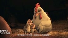 妈妈咪鸭：这两只小鸭子也是奇妙，还太小了，睡觉之前还要听故事
