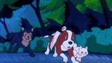 白雪公主：小狗在森林遇到大灰狼，慌忙逃跑，幸好有猎人救下它