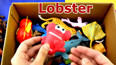 学习认识海洋里的可爱龙虾玩具