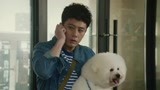 《在远方》刘烨竟和泰迪犬撞发型！画面太好笑