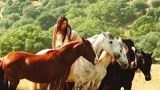 几分钟看完治愈系电影《骏马奥斯温3》米卡带着奥斯温回归野马群