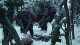 猩球崛起3：人类竟然自相残杀，就连猿族都看不下去了