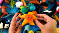 教你认识在海里生活的海星玩具