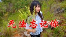 [图]杨美华一首民谣歌曲《无法忘记你》细腻委婉，催人泪下，听得心碎