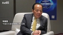 中国巨石董事长_巨石强森