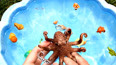 教你认识在海里生活的大章鱼玩具