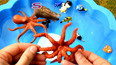 教你认识在大海里生存的八爪鱼玩具