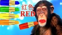 黑猩猩偷抹彩色的口红