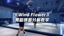 Wind Flower舞蹈教学