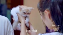 极光之恋：这一段太甜了，韩星子故意拿小猫吓李俊泰