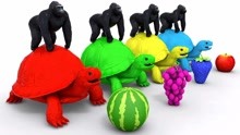 黑猩猩骑彩色乌龟吃水果