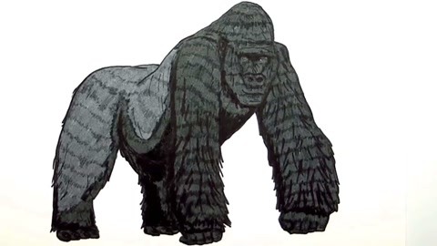 恐龙绘画填色 第40集 大猩猩金刚: 大猩猩金刚