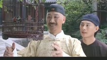 影视剧：老北京的富家子弟，看着这鸟，眼睛都亮了！