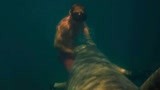 深海狂鲨：小伙和鲨鱼在水里，竟然开始嬉戏起来