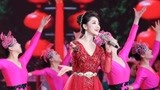 2020安徽卫视春晚 王莉歌曲《走在小康路上》