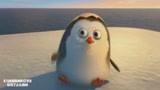 马达加斯加的企鹅：企鹅宝宝太调皮，出生就喷了哥哥一脸口水