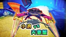 螃蟹大战13：小浪对战夫妻蟹，它们手持双扇双剑