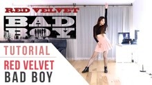 Red Velvet经典单曲Bad Boy翻跳教学 | Ellen和Brian