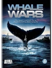 护鲸大战第3季