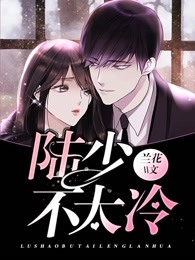 陆少不太冷
