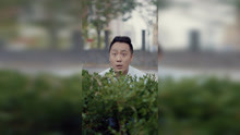 艺汇明星片段-秦汉擂-9500115125