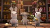 兔子们把超市当做游乐园 工作人员驱赶兔子们